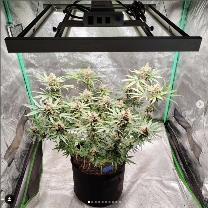 Снимок экрана 2022-10-06 в 17.46.25.png