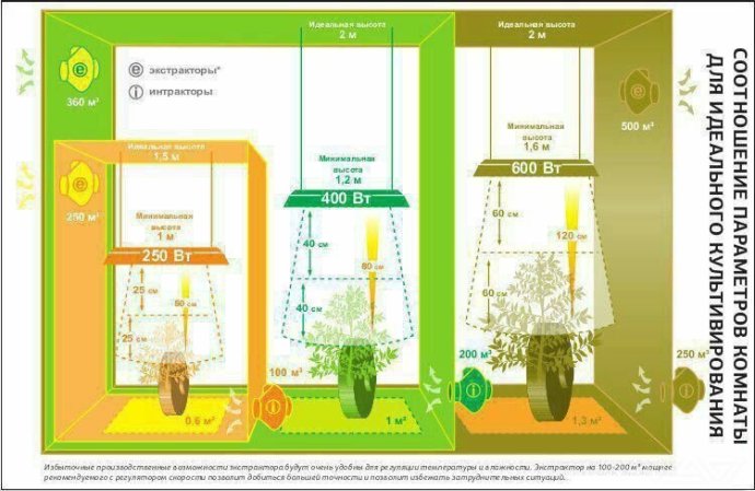 высота светильника.jpg