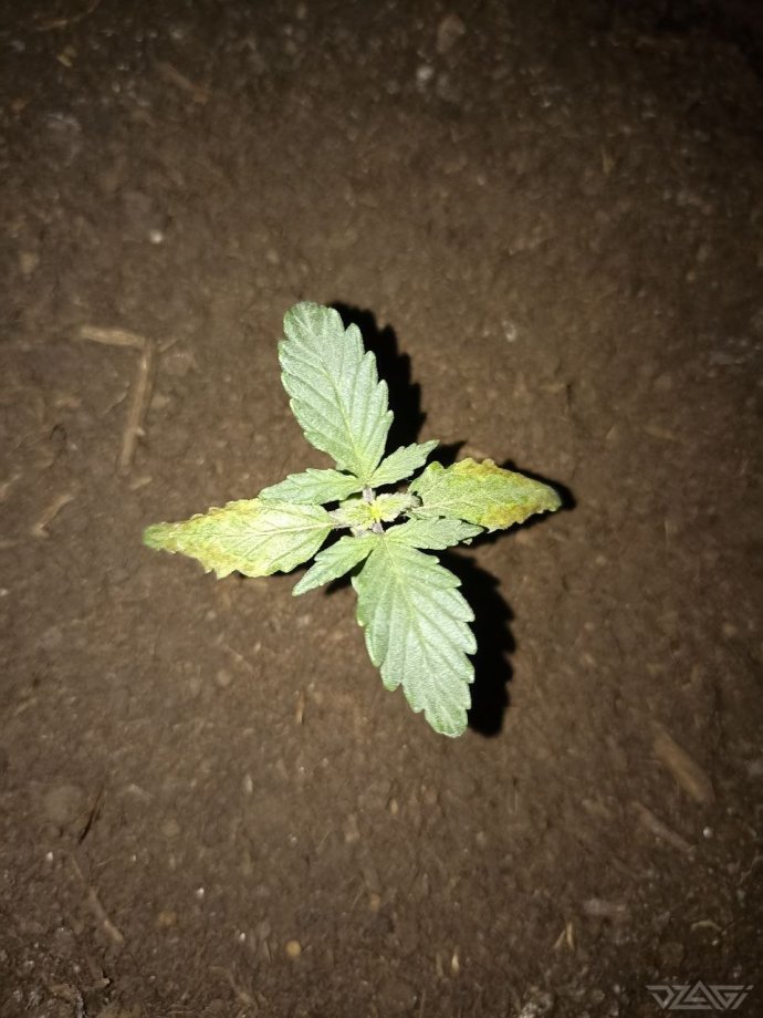 photo_2023-02-13_18-00-54 (3).jpg