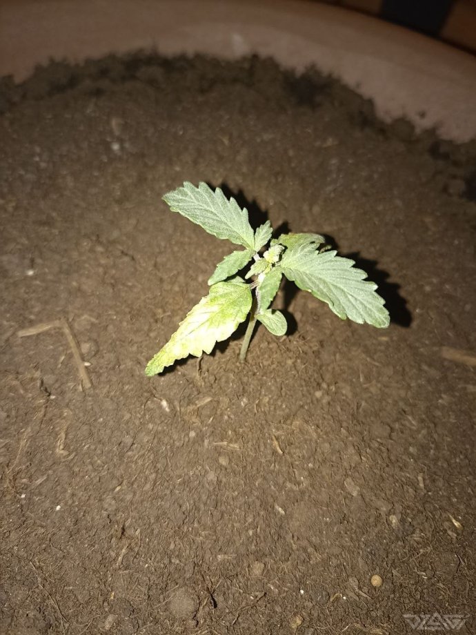 photo_2023-02-13_18-00-54 (2).jpg