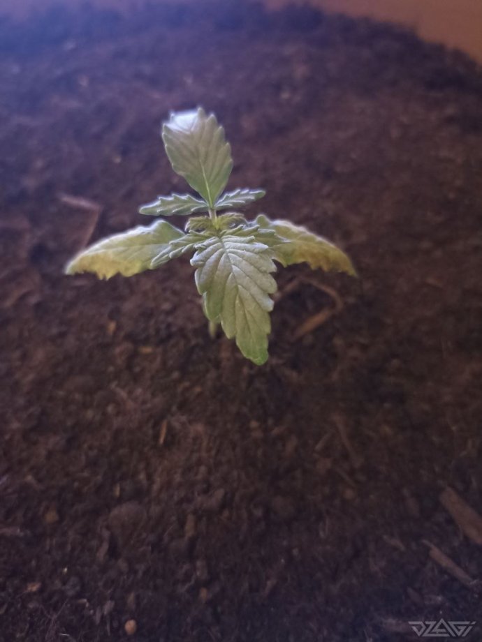 photo_2023-02-13_18-00-53 (2).jpg