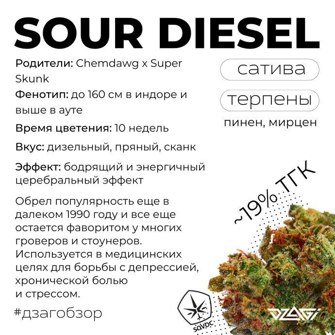 сатива.png