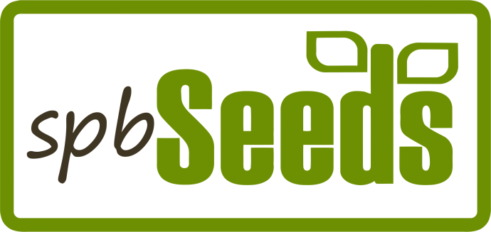 SpbSeeds большой.png