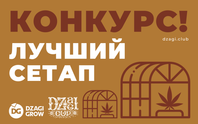 конкурс сетап.png