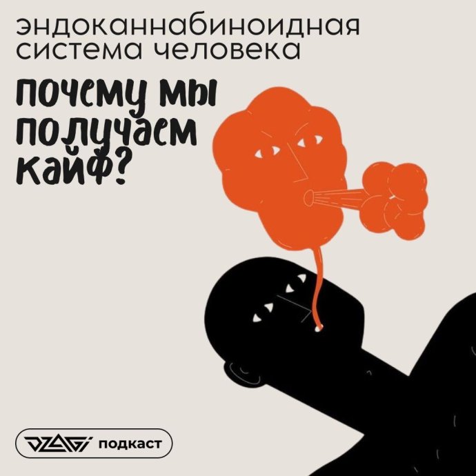Подкаст: Что такое эндоканнабиноидная система человека или как mj ...