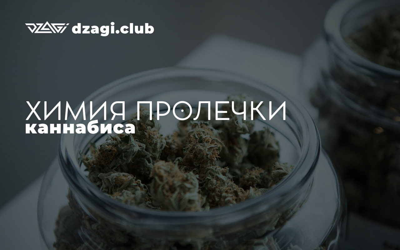 Химия пролечки каннабиса - Жизненный цикл - Форум dzagi.club