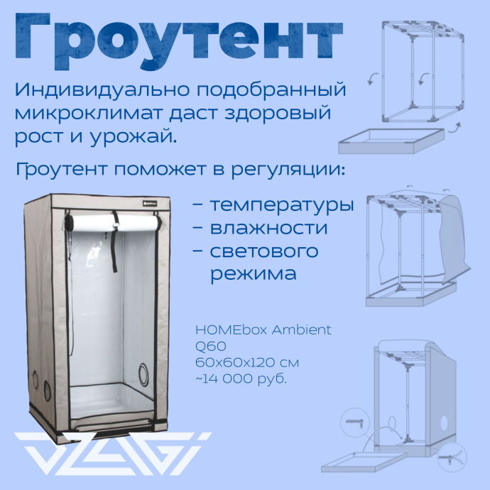 Иллюстрация_без_названия 6.png