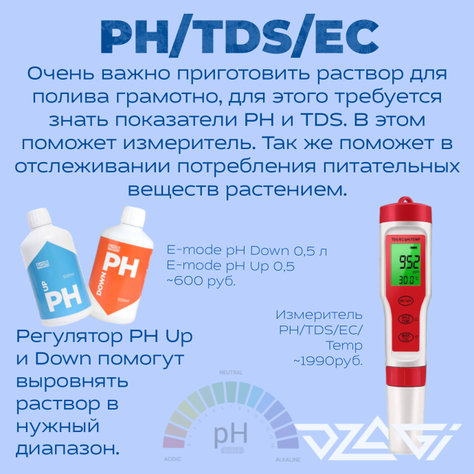 Иллюстрация_без_названия 4.png