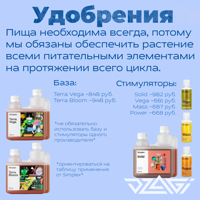 Иллюстрация_без_названия 3.png