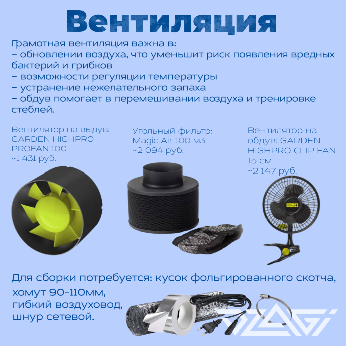 Иллюстрация_без_названия 2.png