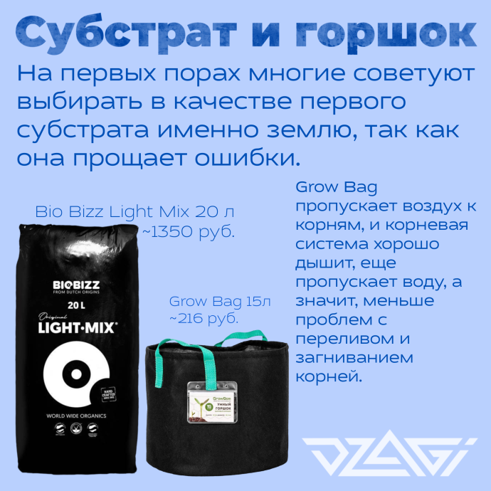 Иллюстрация_без_названия 1.png