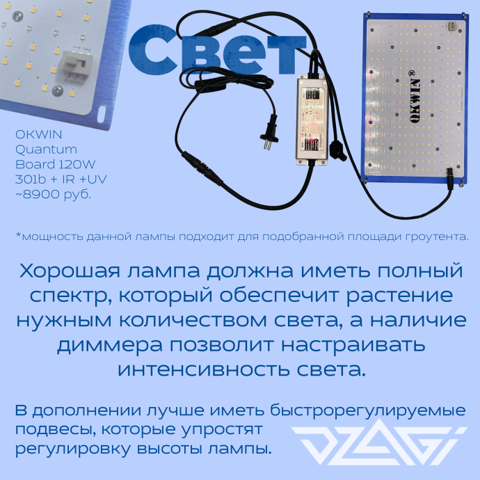 Иллюстрация_без_названия 7.png