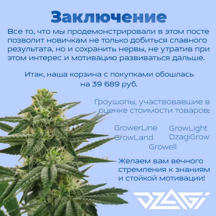 Иллюстрация_без_названия j.png