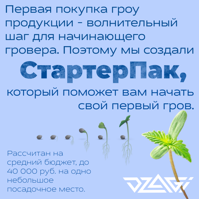 Иллюстрация_без_названия 8.png