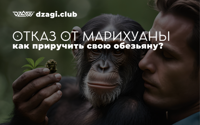 ae442a0454a937c26902a.png