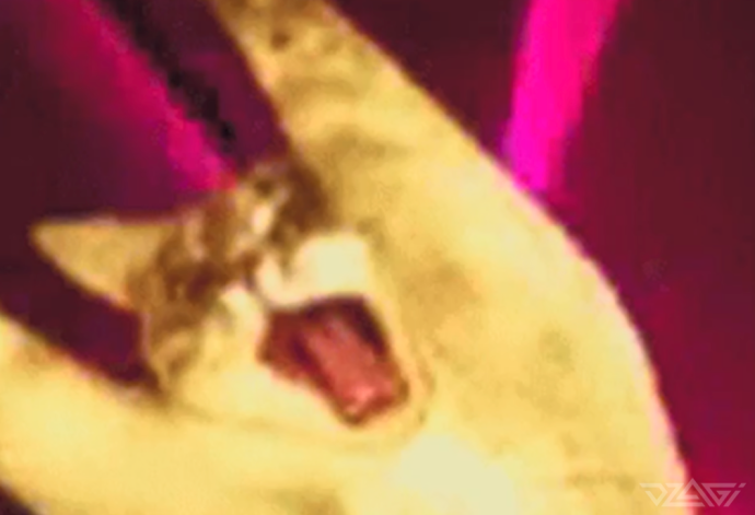 image.thumb.png.2bcd643a7d4623bc8e0e40c1766fa1c7.png