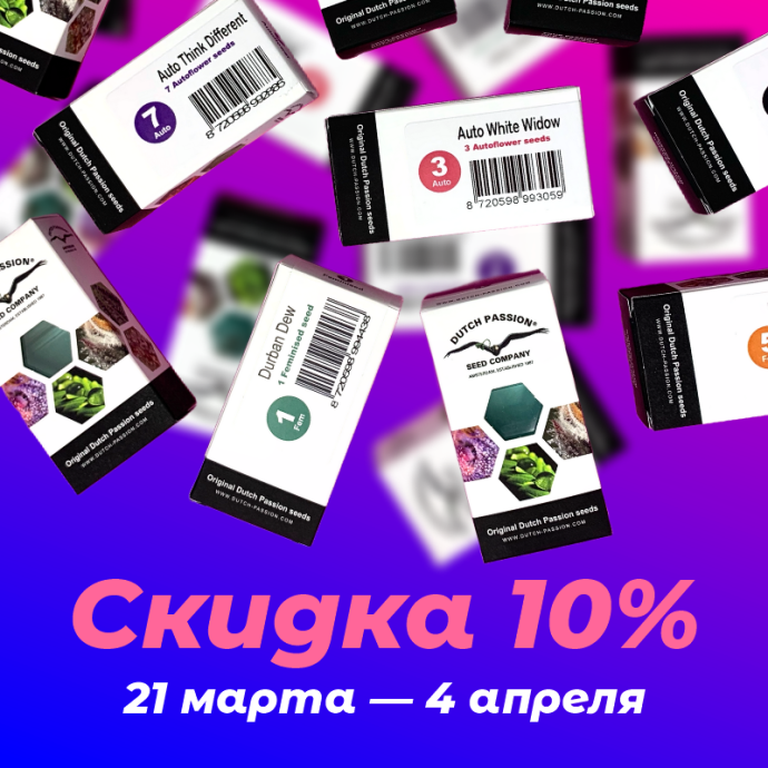 RBR_DP_800_12.png