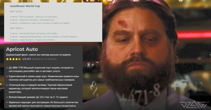 image.thumb.png.9457ca926b27f42bf1b922aa7782696e.png