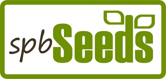 SpbSeeds большой.jpg