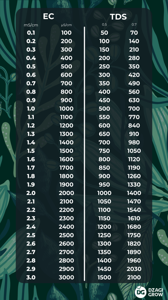 Текст абзаца 1.png