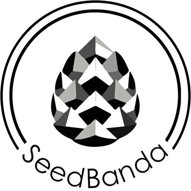 Seedbanda.jpg