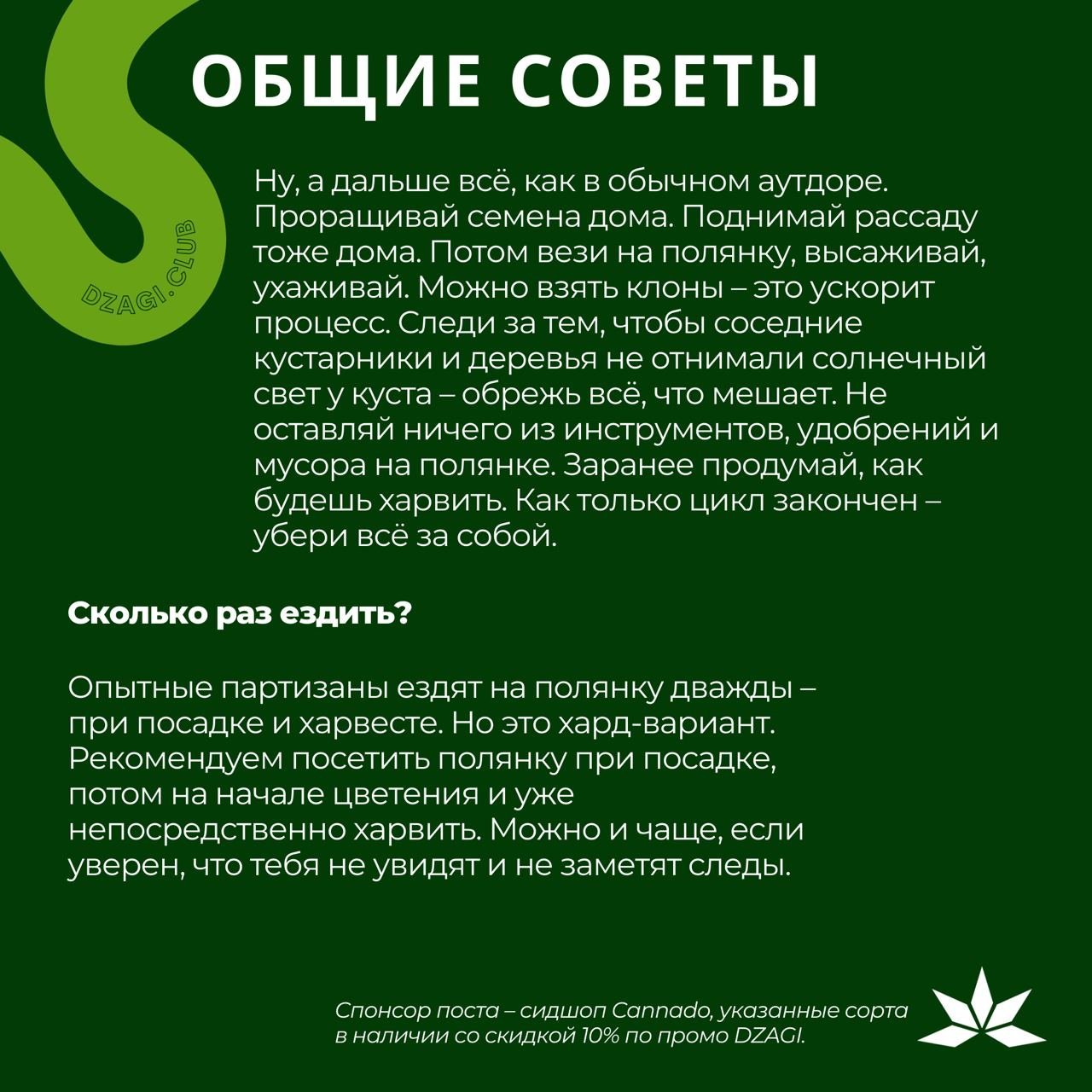 Карточки: Что такое партизанский аутдор? - Открытый грунт (Аутдор) - Форум  dzagi.club