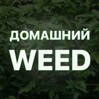 ДомашнийWeed