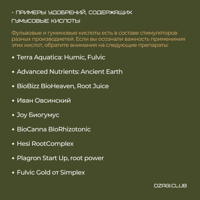 photo_2024-08-08_16-07-16 (2).jpg