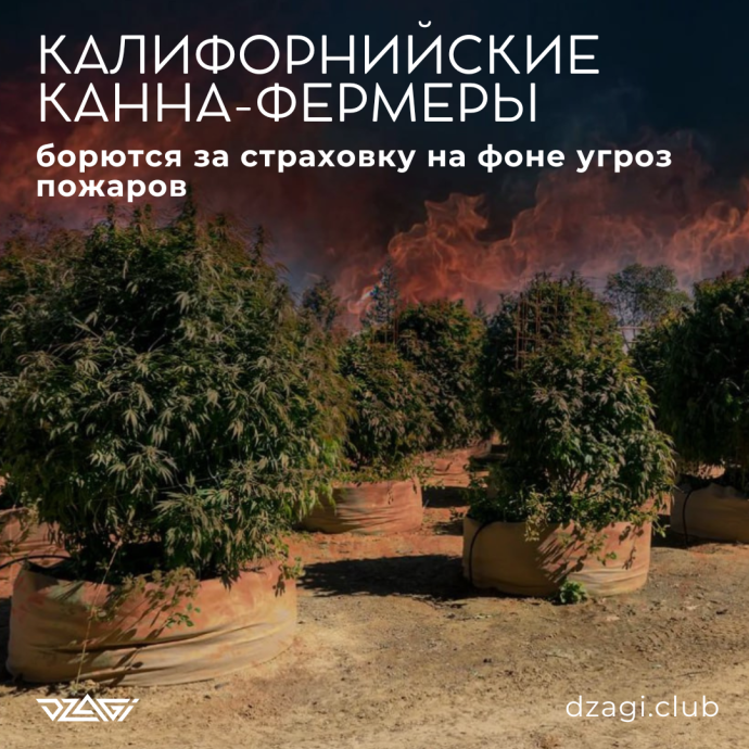 квадратный баннер.png