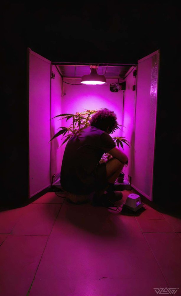 283456700_.thumb.jpg.a2390a7f862c063f8394253c3dd00c04.jpg
