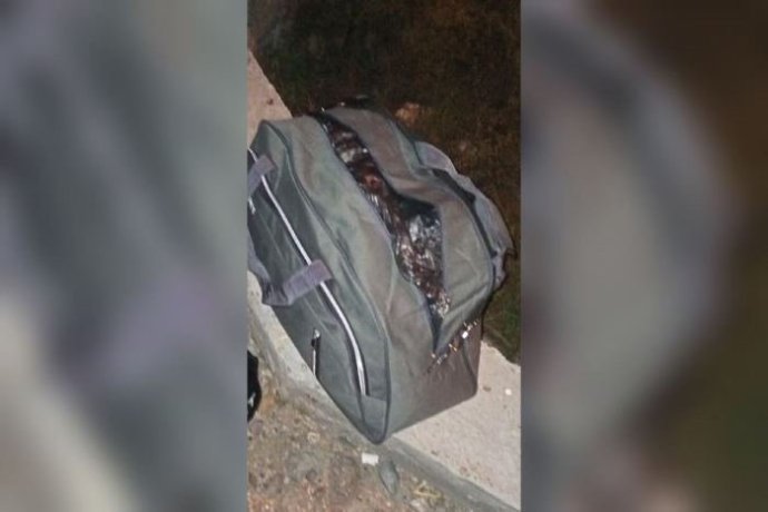 photo_2024-11-04 17.20.06.jpeg