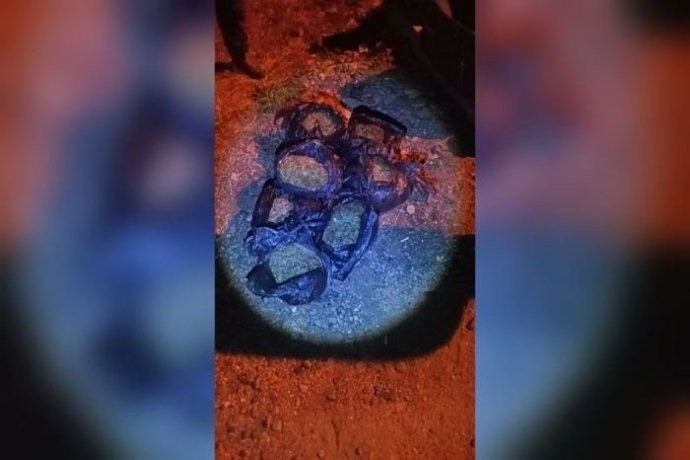 photo_2024-11-04 17.20.07.jpeg