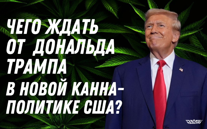 баннер гроупедия (2).png