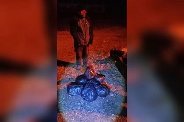 photo_2024-11-04 17.20.05.jpeg