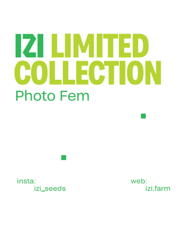 Limited-Collection.png