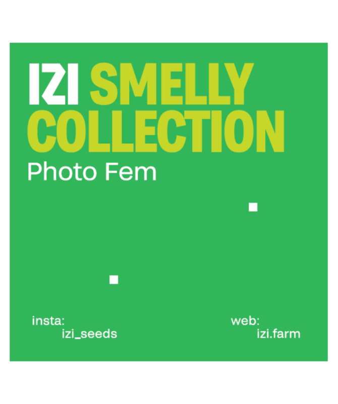 Smelly-Collection.png