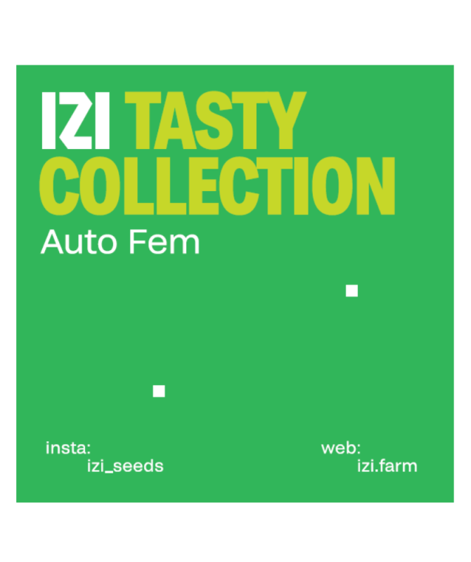 Tasty-Collection.png