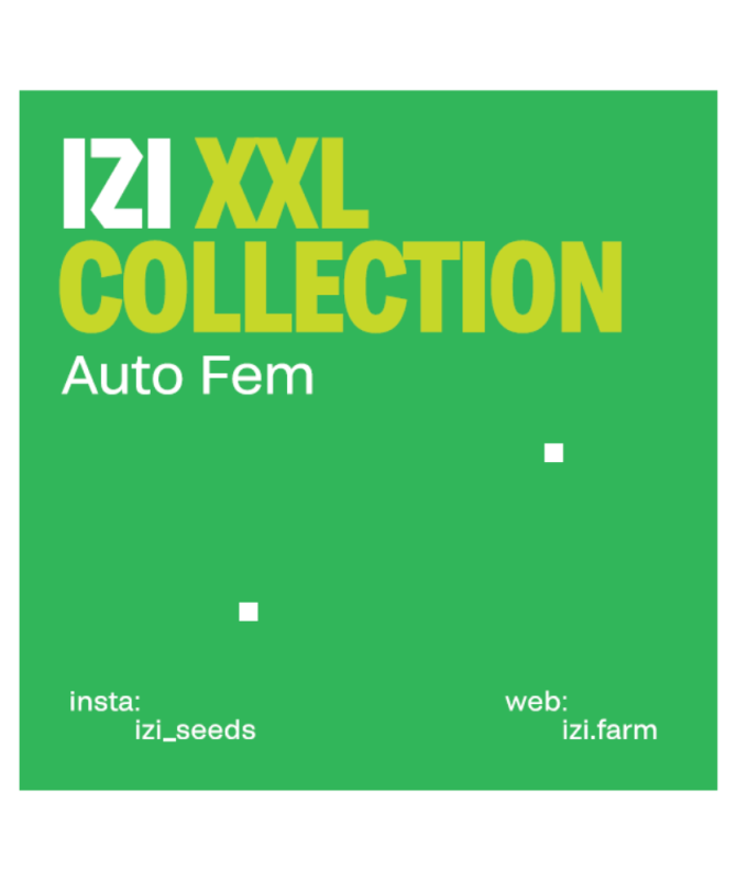 XXL-Collection.png