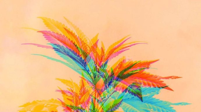 photo_2024-12-11 14.50.52.jpeg