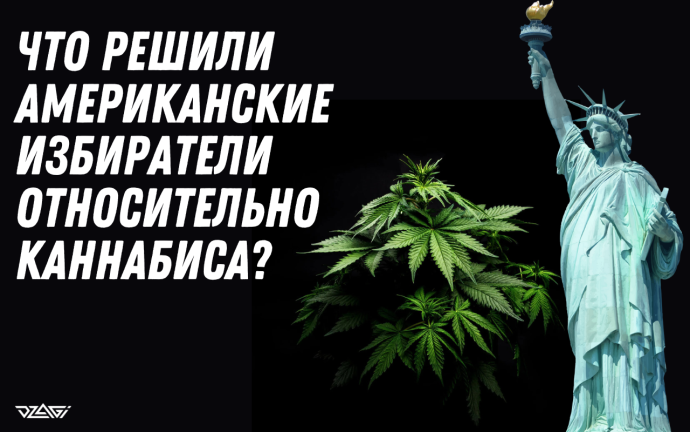 баннер гроупедия (1).png