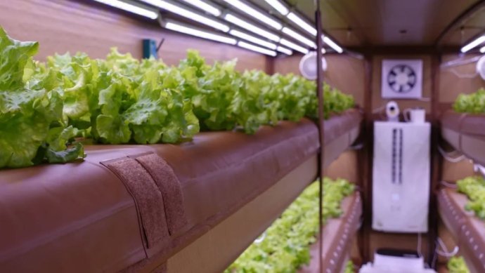 photo_2025-01-21 11.49.24.jpeg