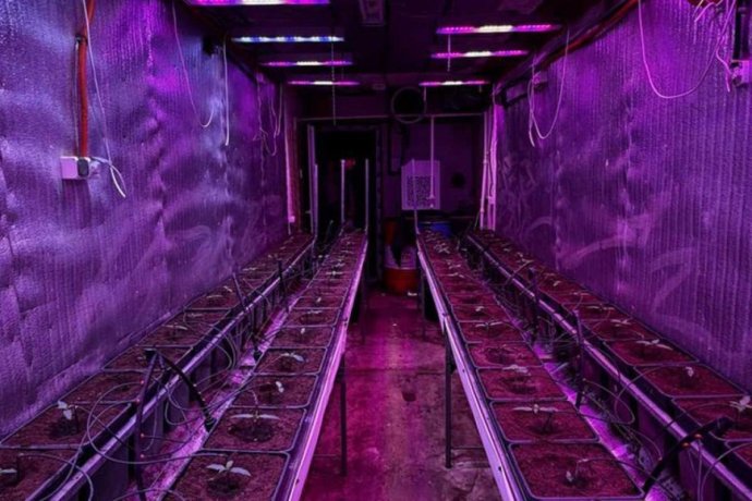 IMAGE 2025-01-14 15:21:32.jpg