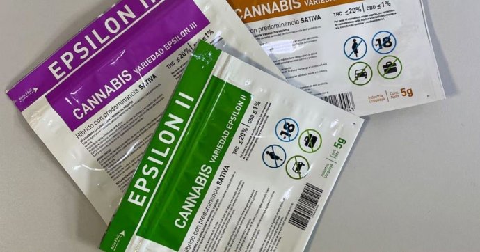 photo_2025-01-29 14.00.33.jpeg