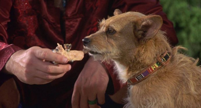 photo_2025-01-17 14.15.51.jpeg