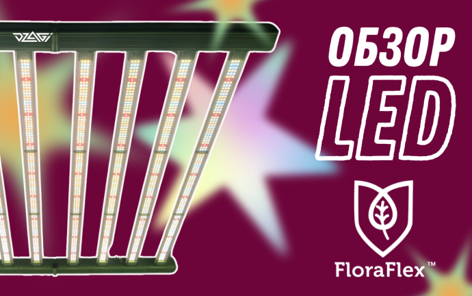 баннер гроупедия.png