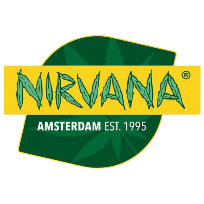 2025-04-22 12.58.47.jpg