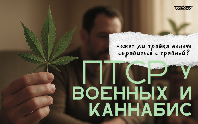 птср.png