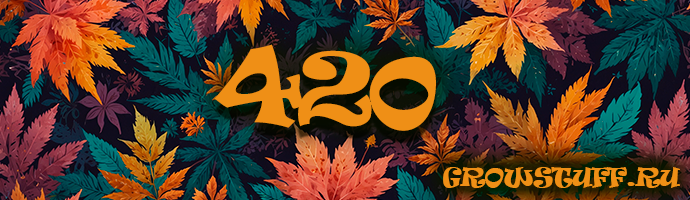 2025-04-18 11.18.18.jpg