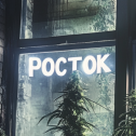 poctok