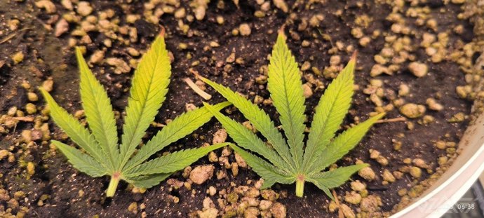 photo_2025-08-27_06-53-51 (3).jpg